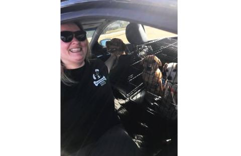 Tiffany Counts, left, poses for a photo with the three dogs she is fostering through Hart County Animal Rescue and taking twice a week to South Carolina for special treatment designed to help them regain the use of their legs. 