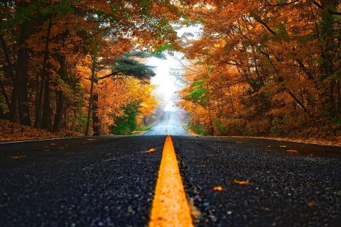 Roads (Stock photo)