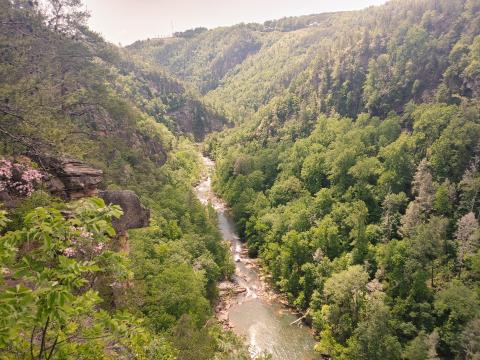 Dan Hunt/The Hartwell Sun - A view from above the Tallulah Falls Gorge. 