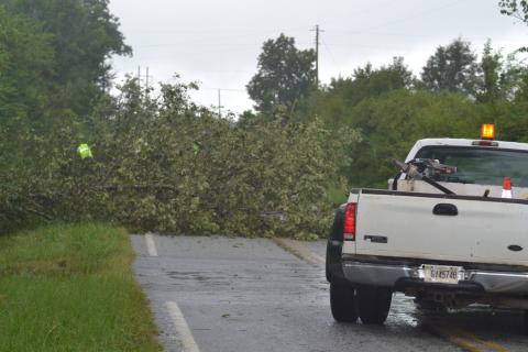 A tropical depression rolled through Hartwell Tuesday and caused little reported damage. One exception was at Seed Cleaner Road off Royston Highway, seen above, where five tress had fallen into the road. Contractors had removed the trees by midday Tuesday.