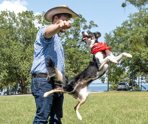 Bailey, who won Best in Show on Saturday, shows off her athletic ability with owner Michael Ruff.