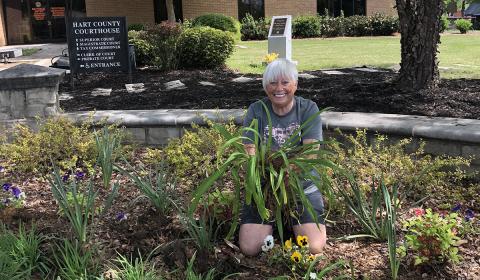 Hartwell resident Mary Lynn Johnson gardens outside the Hart County Courthouse, one of her many volunteer efforts.