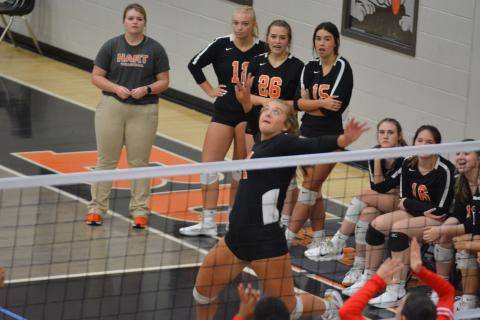 Dakota Phillips goes for the kill against Stephens County at the Volleydogs’ last home match on Sept. 14.