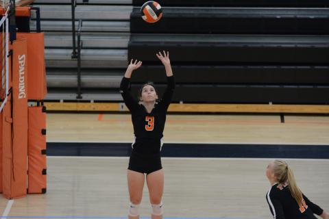 Drew Dotson/ The Hartwell Sun - Senior Aliza Hart sets the ball in her last home game on Tuesday, Oct. 19.