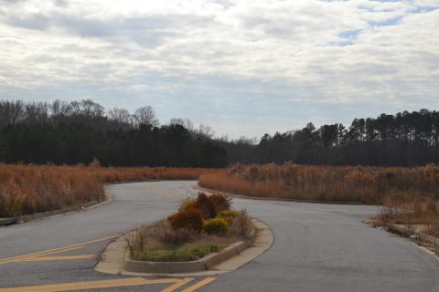 A view of a small portion of the 46.53-acre lot at Oakview Crossing. 