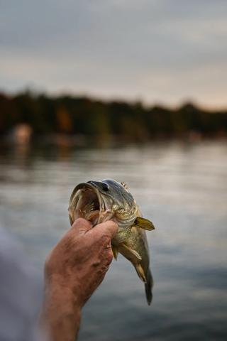 Photo Credit: Jeff Vanderspank 