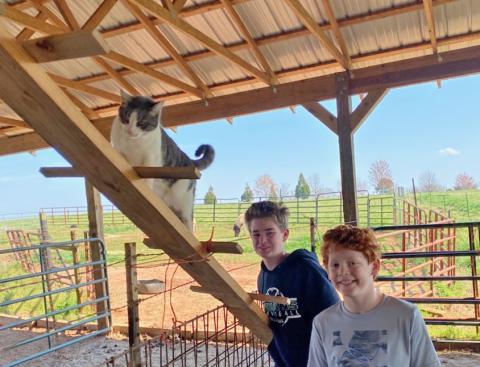 Sista cat is a good climber, but getting down is an issue for her. Twice I’ve been lifted in the tractor’s bucket to retrieve her.  And twice, out of reach, she had to spend the night in the top of the barn. The problem is solved. Grandsons William, left, and Fenn NeSmith helped build Sista a ladder. 