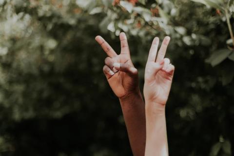 Photo Credit: Priscilla Du Preez 