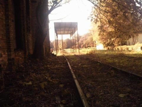 Local medium Chip Pettys said he heard chickens clucking at the above Hart County site which was formerly an eggery.  