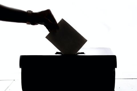 Primary Elections