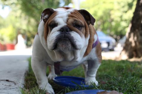 Photo credit: BP Miller 