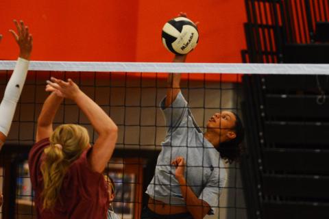Cali Beebe goes up for a block against Alexis Walker. 