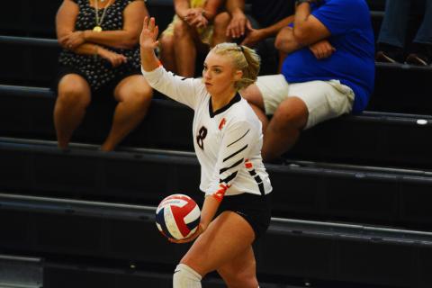 Drew Dotson/The Hartwell Sun - Cali Beebe gets ready to serve in a home game earlier this season. 