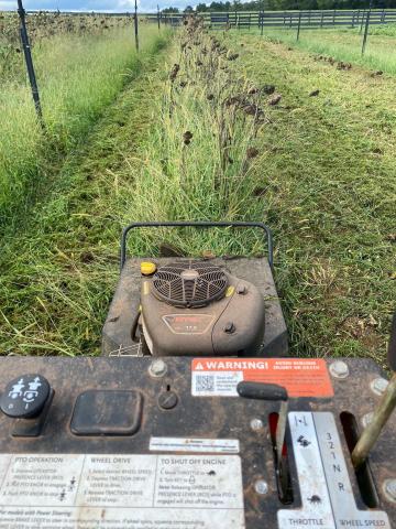 If you don’t mind walking, the DR Brush Pro XL 130 self-propelled mower can chew up a thicket. Suggest you wear gloves to avoid scratches from briars, barbed wire and such. 