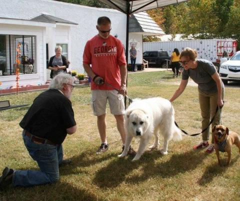 Fr Reid Hamilton blesses a couple dogs at the Blessing of the Animals on Saturday.  