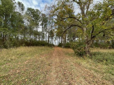 A small portion of the planned subdivision between Liberty Hill and Fairview Roads in Hartwell. 