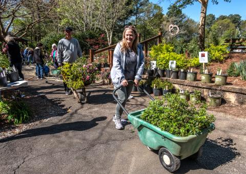 The annual Hart County Botanical Gardens plant sale will take place Saturday, April 15 from 9 a.m. to 3 p.m. variety of plants, shrubs, natives, perennials, and annuals, including some unusual and difficult to find offerings will be featured. This year a sizable selection of transplants from Friends of the Garden’s yards will be offered at very reasonable prices. 