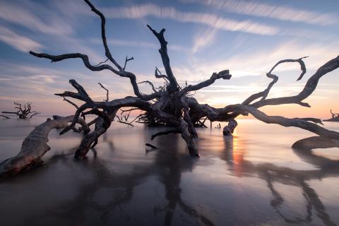 Photo by Elan smith