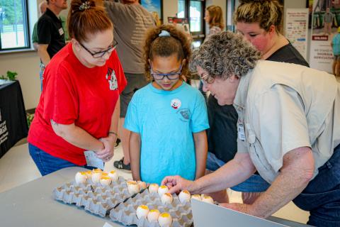 UGA Professor Jeanna Wilson, right, demonstrates the embryonic progression of fertilized chicken eggs during a previous year’s Northeast Georgia Ag Expo. 