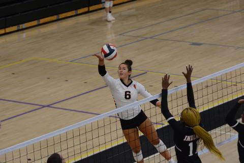 Senior Lillie Kate Rogers (6) goes for the kill in the two set win over Stephens County.