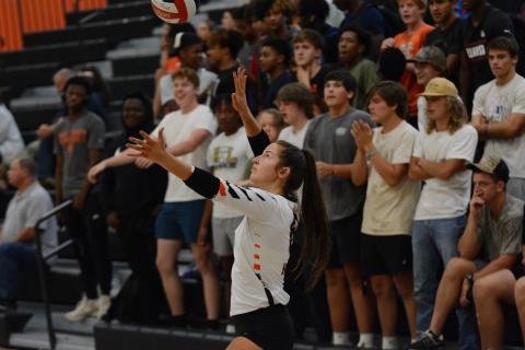 Senior Lillie Kate Rogers serves the ball into play in front of a packed out student section in the Dog Pound. As the Volley Dogs beat Monroe Area in two sets (25-4) and (25-19), but fell to Hebron Christian in three sets by scores of (25-23), (23-25), and (15-17) Sept. 19.
