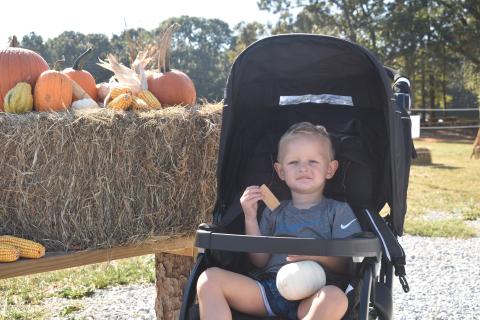 Anson Reno picked out his very own pumpkin during the Fall Harvest Festival at The Big Hart Farm.