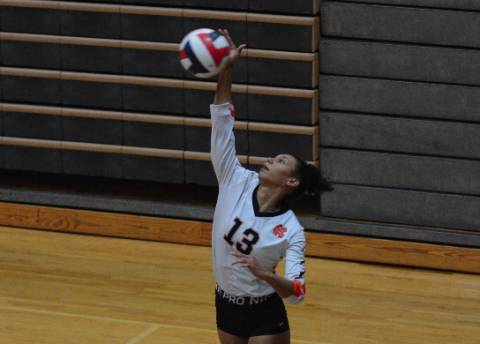Senior Alexis Walker serves the ball into play during a five set loss to Hebron Christian in the second round of the region tournament Oct. 14 at Oconee County High School.