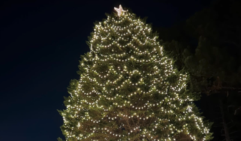 The lighting of the Campbell Christmas tree at 840 E Franklin St.  in Hartwell 