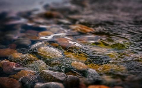 Photo by Robert Zunikoff