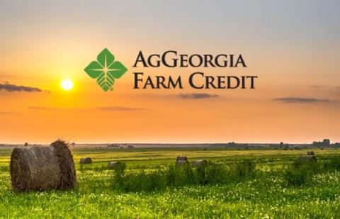 AgGeorgia Farm Credit