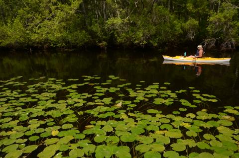 From small flatwater streams in South Georgia to raging whitewater runs in North Georgia, the public’s ability to access and recreate on the state’s streams could be determined by the recommendations made by the special House Study Committee on Navigable Streams.