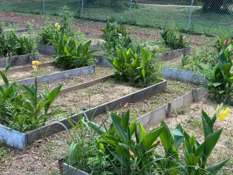 The community garden located in Hartwell’s Rome neighborhood does not currently have running water, which is a top priority for the garden’s volunteers.