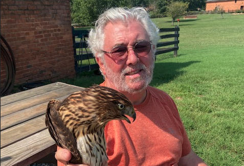 Joel Volpi knew exactly how to capture the Cooper’s hawk—unharmed—that refused to exit our farm’s storage/shop barn.