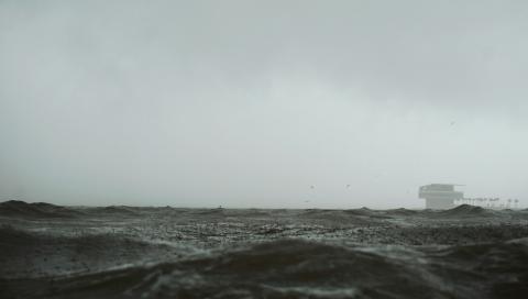 Photo by The Tampa Bay Estuary Program