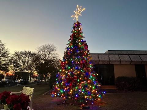 The Hart County Board of Commissioners and the Hart County Chamber of Commerce unveiled a brand new Christmas tree which was lit for the holiday season on the courthouse square Nov. 25. 