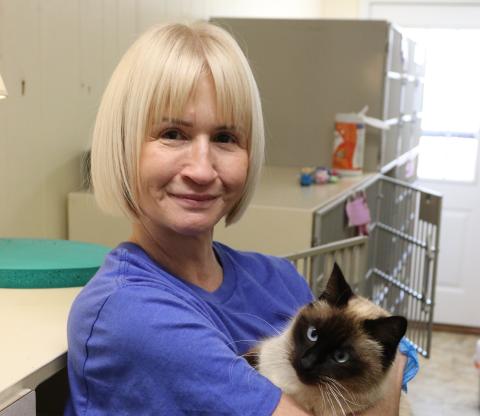 Dee Porter, a Hart County Humane Society volunteer, holds Espresso, a suspected pregnant cat, on Monday. Espresso’s pregnancy will be confirmed on Wednesday via ultrasound, but she shows physical signs of pregnancy with her enlarged, stiff belly. (Photo/Adriana Cascio)