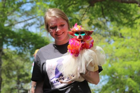 Hailey Cox, owner of Hailey’s Pet Sitting and Services, holds Luna, a rescued 7-year-old chihuahua with no eyes. Luna made her first appearance dressed in beachwear at this year’s Dam Dog Walk and won second place in the costume contest. (Photo/Adriana Cascio)