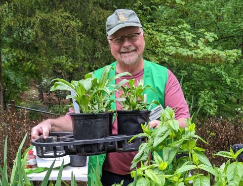 Native plants, many grown by local master gardener and longtime HCBG volunteer, Robert Meaders, will be featured at the garden’s plant sale on April 12. (Photo submitted by Lorin Sinn Clark)