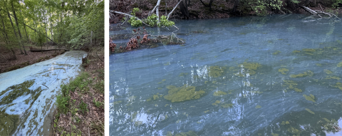 According to an Algal Bloom Monitoring map (left) from the South Carolina Department of Environmental Services, the entirety of Lake Hartwell is under an “HAB Watch” after a harmful algal bloom was confirmed in several locations on the South Carolina side of the lake. The square shapes on the map represent areas with “HAB reported sightings.” Right, HAB can appear like bright green spilled paint or blue-green discoloration of the water. (Photo courtesy of the South Carolina Department of Environment)
