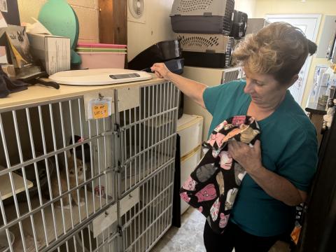 The Hart County Humane Society has been overwhelmed with over 200 cats this kitten season, and is no longer able to help rescue any animals as of press time Wednesday. Volunteer Donna Madkiff urges the public to consider volunteering, fostering or adopting and to spay/neuter their animals. 