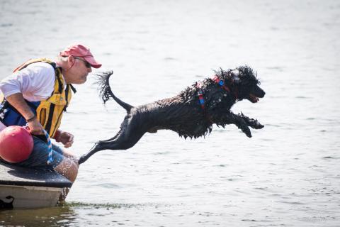 The United Sunshine States Portuguese Water Dog Club (USSPWD), led by trainers Tom and Judy Leather, will host its sanctioned water trials at Lake Hartwell Saturday, June 21, and Sunday, June 22, from 8:30 a.m. to 4:30 p.m. at Hartwell Lakeside Park located at 330 Hart State Park Road. (Submitted by Judy Leather)