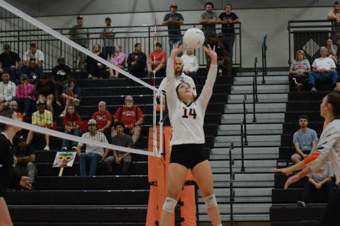 Rising junior Josee Fleming setting the ball in a match in 2024. (Photo/Benjamin London)