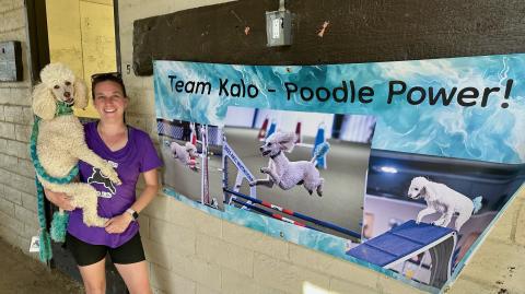 Poodles Finn (left) and Kalo (right), alongside owner JohnieSue Thurman, competed in the American Kennel Club’s (AKC) 2026 National Agility Championship in Temecula, California, March 20 through March 22. Photo submitted by JohnieSue Thurman. 