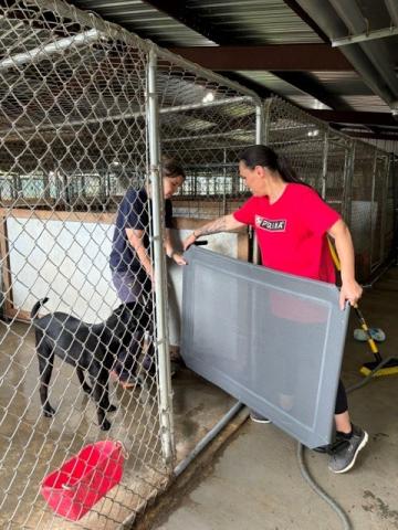 Associates from Nestlé Purina’s Hartwell factory rolled up their sleeves on Monday, June 8, to support the Hart County Animal Rescue as part of the company’s 25th annual Purina Cares Day, a nationwide day of service dedicated to giving back to communities. Photos submitted by Karli Thomas. 