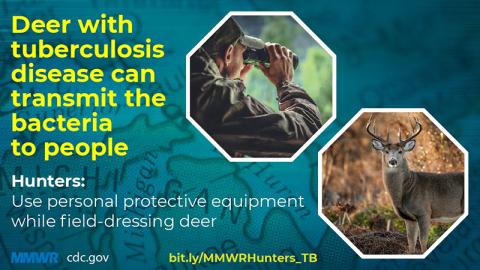 Deer TB Graphic