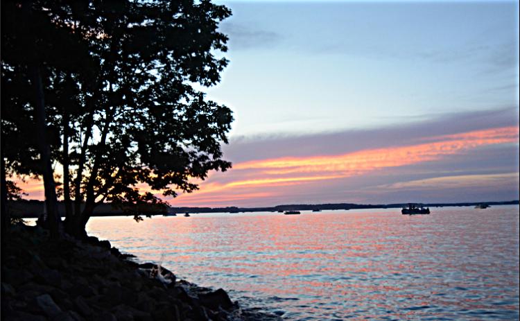 The Lake Hartwell shoreline