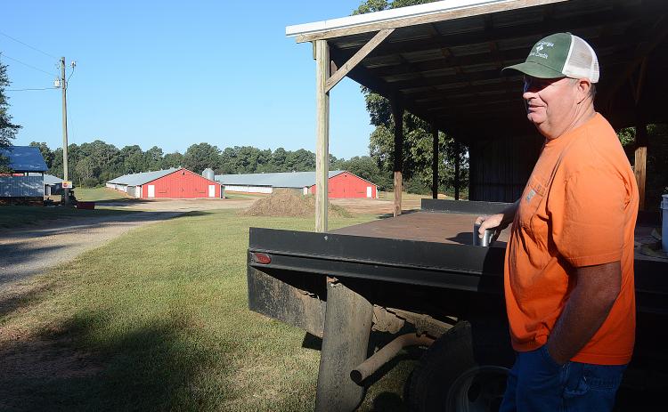 Sunshot by Michael Hall — Stacy Ayers looks over his poultry houses in Hart County recently. Ayers is one of dozens of Hart County chicken farmers who are contributing to Georgia’s robust poultry farming industry.