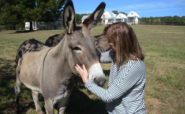The Beacon Bed and Breakfast co-owner Ellen East, above, pets Nova in a pasture recently. Nova is one of three donkeys on the property.