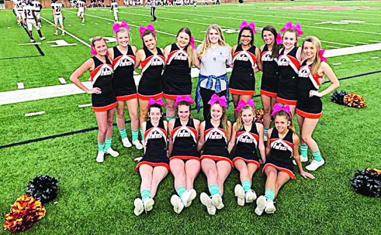 Photo submitted — The Hart County junior varsity cheerleading squad poses for a photo showing off their blue socks with Courtney Turner, center, to raise awareness for Dysautonomia.