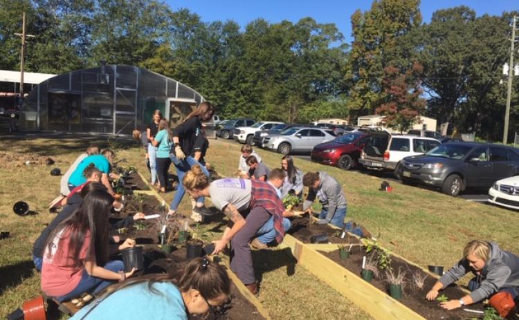 Hart County students and representatives from the State Botanical Gardens plant native plants recently.